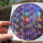Flower of Life Merlin - Image 2